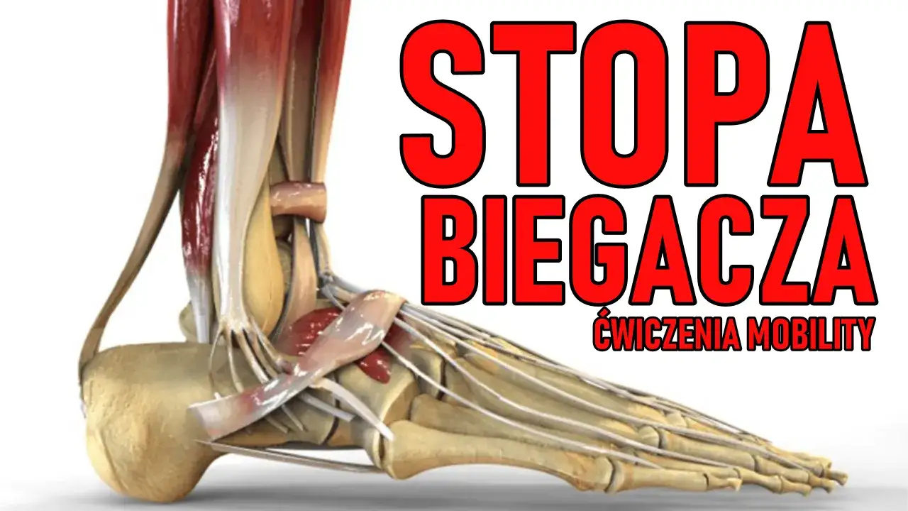 anatomia stopy biegacza przeciążenia