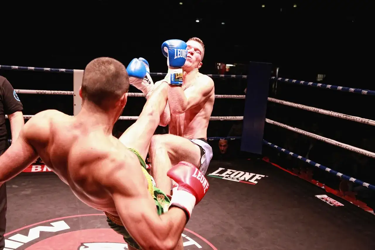 MMA legendarni zawodnicy style walki