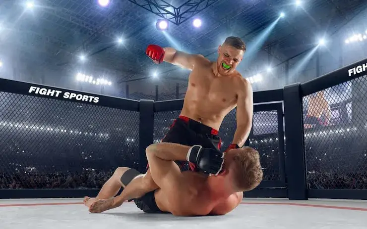 MMA filary sztuki walki grafika